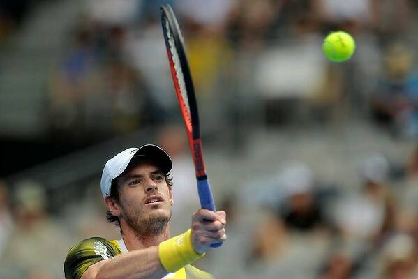 Andy Murray against Joao Sousa on Hisense Arena. Photo: Sebastian Costanzo